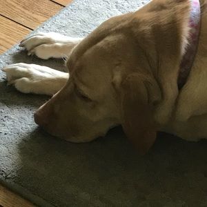 Meet your Posher, Julie